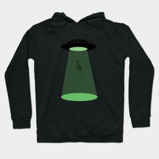 It cames from outerspace ! Hoodie